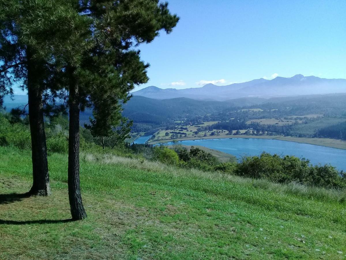 Wild Fig Cottage Sedgefield Εξωτερικό φωτογραφία