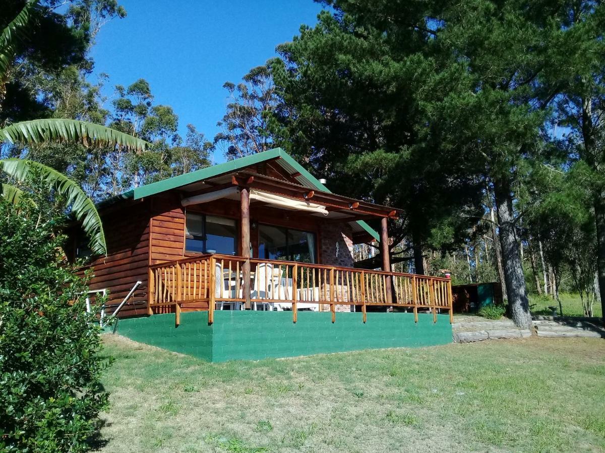 Wild Fig Cottage Sedgefield Εξωτερικό φωτογραφία
